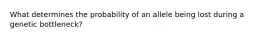 What determines the probability of an allele being lost during a genetic bottleneck?