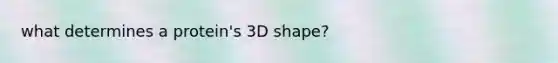 what determines a protein's 3D shape?