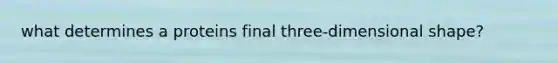what determines a proteins final three-dimensional shape?