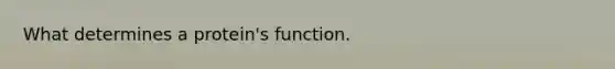 What determines a protein's function.