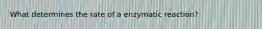 What determines the rate of a enzymatic reaction?