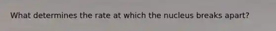 What determines the rate at which the nucleus breaks apart?