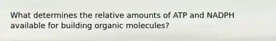 What determines the relative amounts of ATP and NADPH available for building organic molecules?