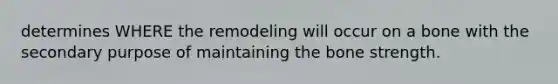 determines WHERE the remodeling will occur on a bone with the secondary purpose of maintaining the bone strength.