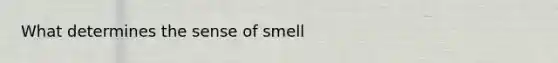 What determines the sense of smell