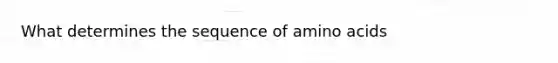 What determines the sequence of amino acids