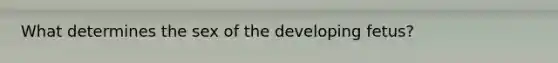 What determines the sex of the developing fetus?