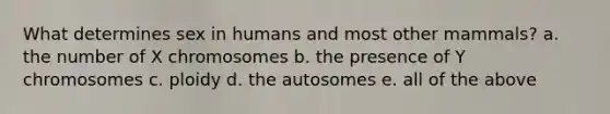 What determines sex in humans and most other mammals? a. the number of X chromosomes b. the presence of Y chromosomes c. ploidy d. the autosomes e. all of the above