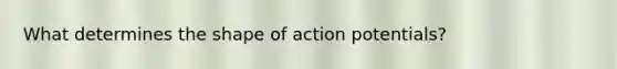 What determines the shape of action potentials?