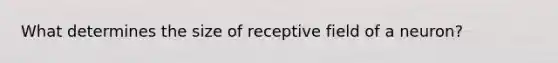 What determines the size of receptive field of a neuron?