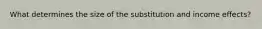 What determines the size of the substitution and income effects?