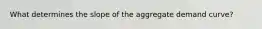 What determines the slope of the aggregate demand curve?