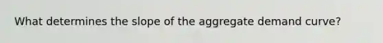 What determines the slope of the aggregate demand curve?
