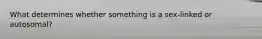 What determines whether something is a sex-linked or autosomal?