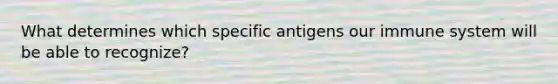 What determines which specific antigens our immune system will be able to recognize?