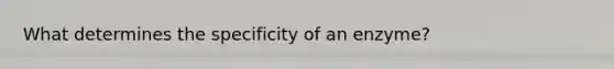 What determines the specificity of an enzyme?