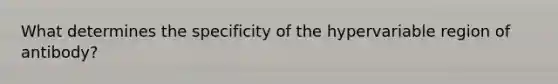 What determines the specificity of the hypervariable region of antibody?