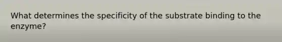 What determines the specificity of the substrate binding to the enzyme?