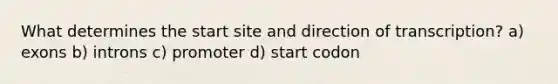 What determines the start site and direction of transcription? a) exons b) introns c) promoter d) start codon