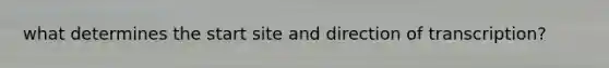 what determines the start site and direction of transcription?