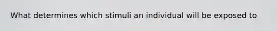 What determines which stimuli an individual will be exposed to