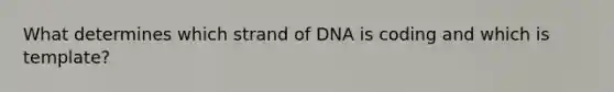 What determines which strand of DNA is coding and which is template?