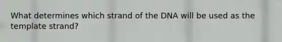 What determines which strand of the DNA will be used as the template strand?