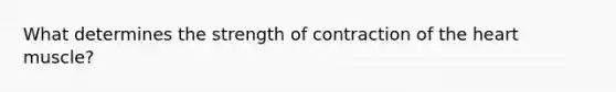 What determines the strength of contraction of the heart muscle?