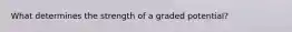 What determines the strength of a graded potential?