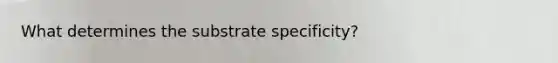 What determines the substrate specificity?