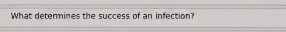 What determines the success of an infection?