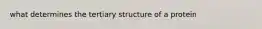 what determines the tertiary structure of a protein