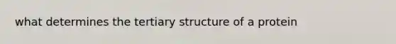 what determines the <a href='https://www.questionai.com/knowledge/kf06vGllnT-tertiary-structure' class='anchor-knowledge'>tertiary structure</a> of a protein