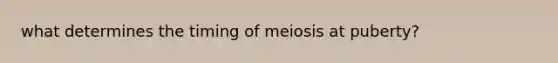 what determines the timing of meiosis at puberty?