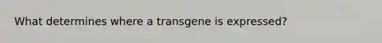 What determines where a transgene is expressed?