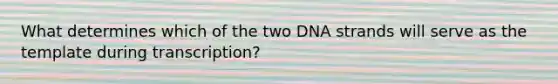 What determines which of the two DNA strands will serve as the template during transcription?