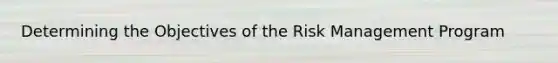 Determining the Objectives of the Risk Management Program