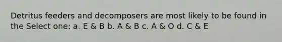 Detritus feeders and decomposers are most likely to be found in the Select one: a. E & B b. A & B c. A & O d. C & E