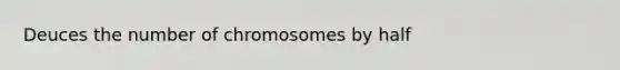 Deuces the number of chromosomes by half