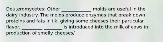 Deuteromycetes: Other _____________ molds are useful in the dairy industry. The molds produce enzymes that break down proteins and fats in ilk, giving some cheeses their particular flavor. _________ ________ is introduced into the milk of cows in production of smelly cheeses/