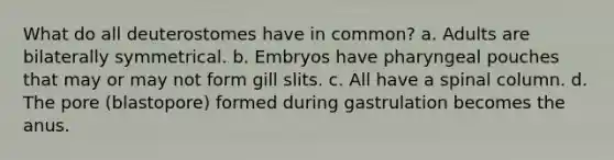 What do all deuterostomes have in common? a. Adults are bilaterally symmetrical. b. Embryos have pharyngeal pouches that may or may not form gill slits. c. All have a spinal column. d. The pore (blastopore) formed during gastrulation becomes the anus.