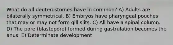 What do all deuterostomes have in common? A) Adults are bilaterally symmetrical. B) Embryos have pharyngeal pouches that may or may not form gill slits. C) All have a spinal column. D) The pore (blastopore) formed during gastrulation becomes the anus. E) Determinate development