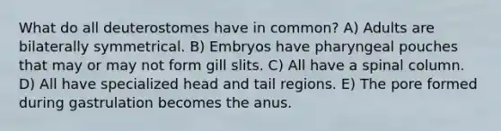 What do all deuterostomes have in common? A) Adults are bilaterally symmetrical. B) Embryos have pharyngeal pouches that may or may not form gill slits. C) All have a spinal column. D) All have specialized head and tail regions. E) The pore formed during gastrulation becomes the anus.