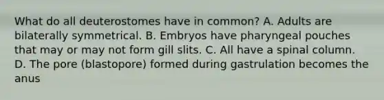 What do all deuterostomes have in common? A. Adults are bilaterally symmetrical. B. Embryos have pharyngeal pouches that may or may not form gill slits. C. All have a spinal column. D. The pore (blastopore) formed during gastrulation becomes the anus