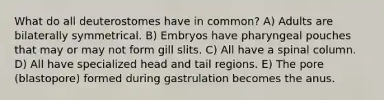 What do all deuterostomes have in common? A) Adults are bilaterally symmetrical. B) Embryos have pharyngeal pouches that may or may not form gill slits. C) All have a spinal column. D) All have specialized head and tail regions. E) The pore (blastopore) formed during gastrulation becomes the anus.