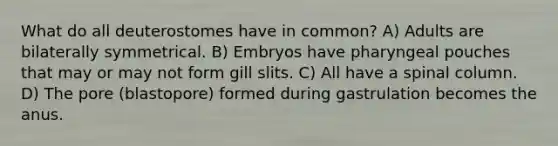 What do all deuterostomes have in common? A) Adults are bilaterally symmetrical. B) Embryos have pharyngeal pouches that may or may not form gill slits. C) All have a spinal column. D) The pore (blastopore) formed during gastrulation becomes the anus.