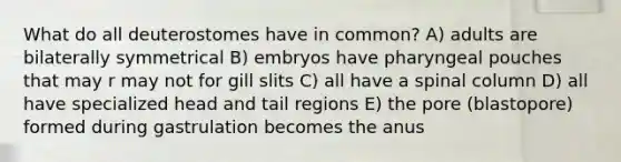 What do all deuterostomes have in common? A) adults are bilaterally symmetrical B) embryos have pharyngeal pouches that may r may not for gill slits C) all have a spinal column D) all have specialized head and tail regions E) the pore (blastopore) formed during gastrulation becomes the anus