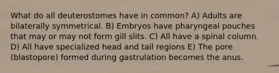 What do all deuterostomes have in common? A) Adults are bilaterally symmetrical. B) Embryos have pharyngeal pouches that may or may not form gill slits. C) All have a spinal column. D) All have specialized head and tail regions E) The pore (blastopore) formed during gastrulation becomes the anus.