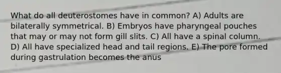 What do all deuterostomes have in common? A) Adults are bilaterally symmetrical. B) Embryos have pharyngeal pouches that may or may not form gill slits. C) All have a spinal column. D) All have specialized head and tail regions. E) The pore formed during gastrulation becomes the anus