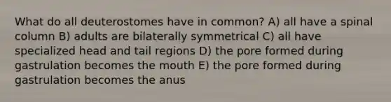 What do all deuterostomes have in common? A) all have a spinal column B) adults are bilaterally symmetrical C) all have specialized head and tail regions D) the pore formed during gastrulation becomes <a href='https://www.questionai.com/knowledge/krBoWYDU6j-the-mouth' class='anchor-knowledge'>the mouth</a> E) the pore formed during gastrulation becomes the anus